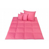 Perina, paplón - Capes doping 200 x 160 cm (Dole prikrývka 160x200 2,5 kg - dole D01 100% ružová) Perina, paplón - Capes doping 200 x 160 cm (Dole prikrývka 160x200 2,5 kg - dole D01 100% ružová)