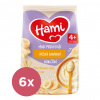 6x HAMI Moja prvá kaša nemliečna ryžová banánová 4+, 170g 6x HAMI Moja prvá kaša nemliečna ryžová banánová 4+, 170g