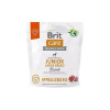 Brit Care Dog Junior Hypoallergenic Large Breed Lamb 1 kg Brit Care Dog Junior Hypoallergenic Large Breed Lamb 1 kg