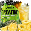 Kreatín prášok s ananásovou príchuťou Real Pharm 300 g Kreatín prášok s ananásovou príchuťou Real Pharm 300 g