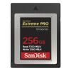 SanDisk 256GB SDCFE-256G-GN4NN SanDisk 256GB SDCFE-256G-GN4NN