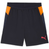 Puma Individual Cup Shorts Adults Navy/Orange S Puma Individual Cup Shorts Adults Navy/Orange S