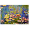 Bluebird Claude MonetNymphéas 1000 dielov Bluebird Claude MonetNymphéas 1000 dielov