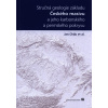 Stručná geologie základu Českého masivu a jeho karbonského a permského pokryvu - Jan Cháb Stručná geologie základu Českého masivu a jeho karbonského a permského pokryvu - Jan Cháb