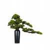 Dekoratívny bonsaj do interiéru, Borovica PN-23 Dekoratívny bonsaj do interiéru, Borovica PN-23