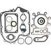 Sada tesnení BRIGGS & STRATTON 10 - 21 HP 697110 OHV AVS Sada tesnení BRIGGS & STRATTON 10 - 21 HP 697110 OHV AVS