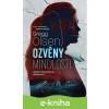 E-kniha Ozvěny minulosti - Gregg Olsen E-kniha Ozvěny minulosti - Gregg Olsen