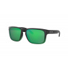Oakley Holbrook OO9102 9102E4 Oakley Holbrook OO9102 9102E4