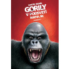 Gorily v podsvetí Gorily v podsvetí