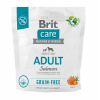 Brit Care Grain-free Adult Salmon 1 kg Brit Care Grain-free Adult Salmon 1 kg