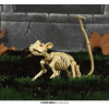 Dekorácia kostra - KRYSA - Halloween - 20 cm Dekorácia kostra - KRYSA - Halloween - 20 cm