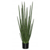 Pottery Pots Realistická umelá rastlina Sansevieria cylindrica, viac veľkostí - PotteryPots Veľkosť: L - ø 35 cm | v. 180 cm Pottery Pots Realistická umelá rastlina Sansevieria cylindrica, viac veľkostí - PotteryPots Veľkosť: L - ø 35 cm | v. 180 cm