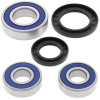 Opravná sada ložisek kol All Balls zadní YAMAHA YZF 600 R Thunder Cat (96-03) rok 95-07 Opravná sada ložisek kol All Balls zadní YAMAHA YZF 600 R Thunder Cat (96-03) rok 95-07