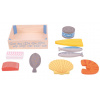 Bigjigs Toys Drevené morské plody v krabičke Bigjigs Toys Drevené morské plody v krabičke