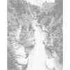 ZUTY Bodkovanie - FIALOVÉ BOROVICE A MODRÝ POTOK Rámovanie: bez rámu a bez vypnutia plátna, Rozmer: 40x50 cm ZUTY Bodkovanie - FIALOVÉ BOROVICE A MODRÝ POTOK Rámovanie: bez rámu a bez vypnutia plátna, Rozmer: 40x50 cm