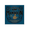La Bella 880L - struny na mandolinu La Bella 880L - struny na mandolinu