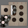 Vinyl Swans - BIRTHING Vinyl Swans - BIRTHING