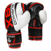 Boxerské rukavice DBX BUSHIDO B-2v7 10 oz 10 z.
