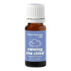 Plant Therapy KidSafe Calming the Child Upokojenie dieťaťa esenciálny olej 10 ml Plant Therapy KidSafe Calming the Child Upokojenie dieťaťa esenciálny olej 10 ml