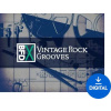 BFD Vintage Rock Grooves (Digitálny produkt) BFD Vintage Rock Grooves (Digitálny produkt)
