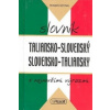 Taliansko - slovenský slovensko - taliansky slovník s najnovšími výrazmi Taliansko - slovenský slovensko - taliansky slovník s najnovšími výrazmi