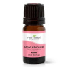 Plant Therapy Rose absolute esenciálny olej 5 ml Plant Therapy Rose absolute esenciálny olej 5 ml