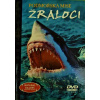 Podmořská mise - Žraloci - DVD /brožura/ Podmořská mise - Žraloci - DVD /brožura/