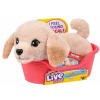 Little Live Pets Môj Skutočný Mini Psík Labrador Little Live Pets Môj Skutočný Mini Psík Labrador