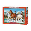Castorland Puzzle 2000 ks Volanie prírody Castorland Puzzle 2000 ks Volanie prírody