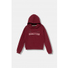 Detská bavlnená mikina United Colors of Benetton 3J68C204W.G.seasonal burgundské 120 Detská bavlnená mikina United Colors of Benetton 3J68C204W.G.seasonal burgundské 120