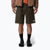 Pánske šortky The North Face Limestone new taupe green Pánske šortky The North Face Limestone new taupe green