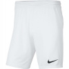 Nike pánske športové šortky pred koleno BV6855 veľkosť XXL Nike pánske športové šortky pred koleno BV6855 veľkosť XXL