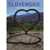 Slovensko mezi domovem a zahraničím - Libor Michalec Slovensko mezi domovem a zahraničím - Libor Michalec