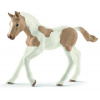 Schleich Schleich Zvieratko - Žriebä plemena Paint Horse OLP102613886 Schleich Schleich Zvieratko - Žriebä plemena Paint Horse OLP102613886