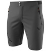 DYNAFIT TRANSALPER LIGHT DYNASTRETCH SHORTS M MAGNET KRAŤASY Veľkosť: XL DYNAFIT TRANSALPER LIGHT DYNASTRETCH SHORTS M MAGNET KRAŤASY Veľkosť: XL