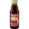 Rabenhorst Bio ovocná šťáva Regenerace 125 ml Rabenhorst Bio ovocná šťáva Regenerace 125 ml