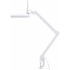 TOOLCRAFT TO-7567476 Lupa s LED osvětlením, 60 SMD LED, 7,5 x 6,2 900 lm zvětšení=1.75 x Třída energetické účinnosti 2021 F (A - G) TOOLCRAFT TO-7567476 Lupa s LED osvětlením, 60 SMD LED, 7,5 x 6,2 900 lm zvětšení=1.75 x Třída energetické účinnosti 2021 F (A - G)