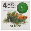Vonné čajové sviečky maxi 4ks-Spruce Vonné čajové sviečky maxi 4ks-Spruce