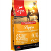 ORIJEN Puppy - suché krmivo pro psy - 6kg ORIJEN Puppy - suché krmivo pro psy - 6kg