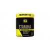 Amarok Nutrition Stamina, 500 g, cherry bomb Amarok Nutrition Stamina, 500 g, cherry bomb