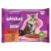 Whiskas Cat Junior Mäsový výber kura&hovädzie&jahňa&králik v šťave 4 x 85 g Whiskas Cat Junior Mäsový výber kura&hovädzie&jahňa&králik v šťave 4 x 85 g