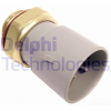 Teplotný spínač ventilátora chladenia DELPHI TS10297 Teplotný spínač ventilátora chladenia DELPHI TS10297