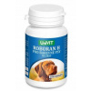 Univit Roboran H Barevné psy 100 tbl Univit Roboran H Barevné psy 100 tbl
