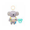 Koala Kimmi Koala Kimmi