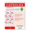 CAPSOLKA - hrejivá kapsaicínová náplasť s Aloe vera 1 ks