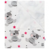New Baby Nepremokavá flanelová podložka Cute Teddy ružová Bavlna/Polyester 47x75 New Baby Nepremokavá flanelová podložka Cute Teddy ružová Bavlna/Polyester 47x75