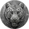 Strieborná minca 1 Kg Tiger - Big Five Asia High Relief 2022 Antique Štandard Strieborná minca 1 Kg Tiger - Big Five Asia High Relief 2022 Antique Štandard