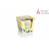 Bartek Candles Flowering Madness vonná sviečka 115g Bartek Candles Flowering Madness vonná sviečka 115g