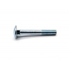Skrutka na pánt brány DIN 603, pozinkovaná M6x30 mm Skrutka na pánt brány DIN 603, pozinkovaná M6x30 mm