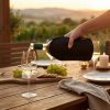 TESCOMA Uno Vino - chladič na víno TESCOMA Uno Vino - chladič na víno